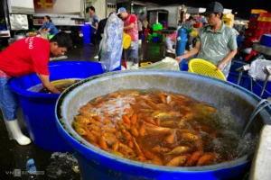 Chợ cá chép lớn nhất TP HCM tất bật ngày ông Táo