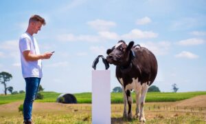 Sở hữu công ty tỷ USD nhờ làm ứng dụng chăn bò