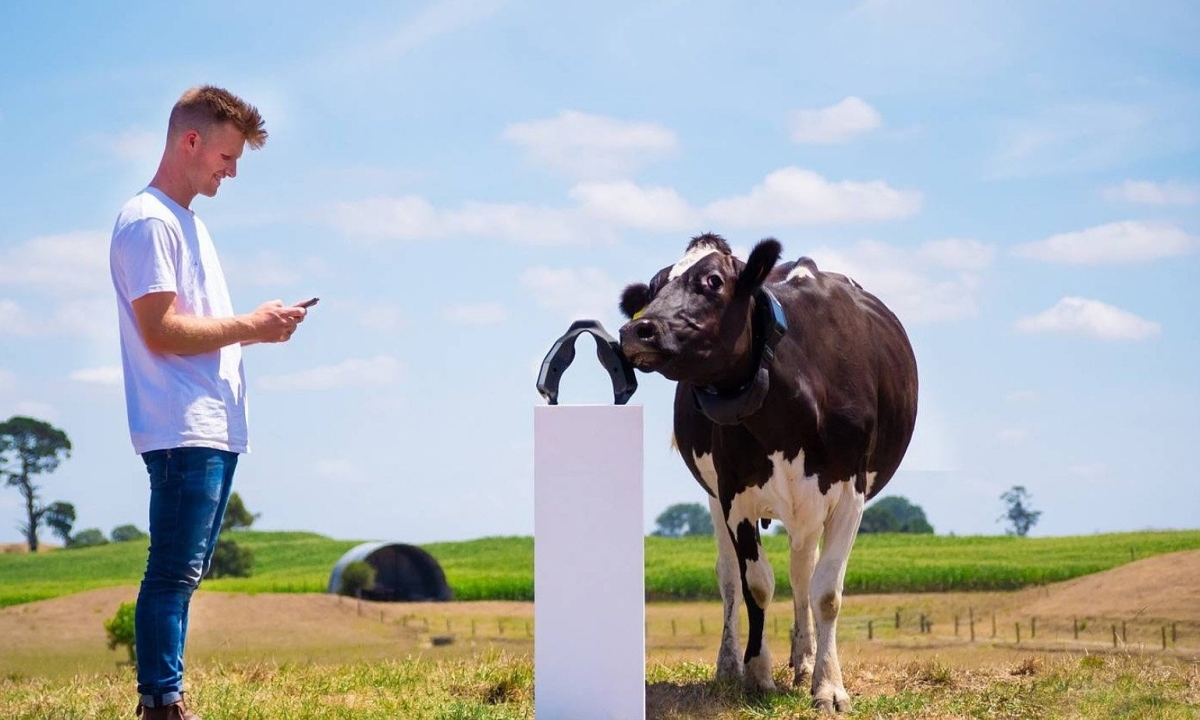 Sở hữu công ty tỷ USD nhờ làm ứng dụng chăn bò