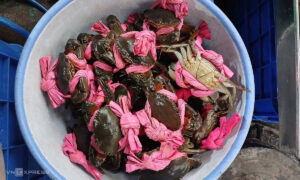 Cá lóc, tôm cua tăng đến 50% ngày vía Thần Tài