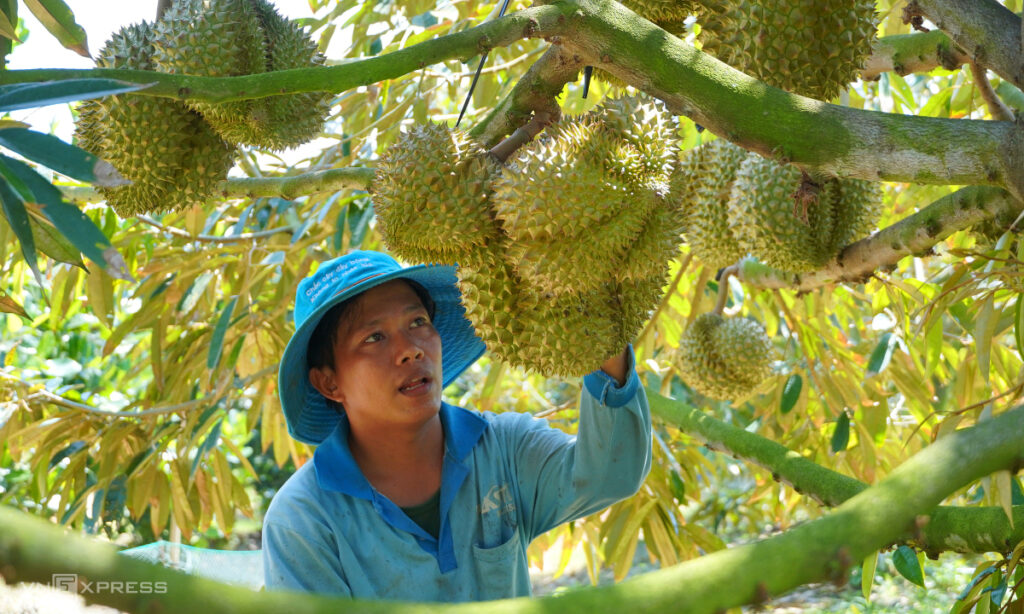 Nông sản năm nay thế nào sau cú bứt tốc kỷ lục