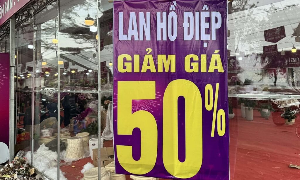 Cây cảnh, hoa chơi Tết giảm giá một nửa để xả hàng sớm