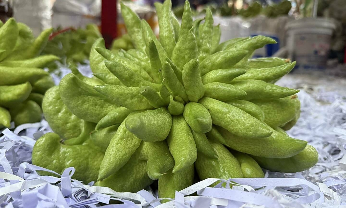 Gần triệu đồng một trái phật thủ vẫn 'cháy hàng'