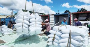 Senegal: Thị trường Tây Phi tiềm năng cho gạo Việt Nam