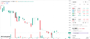 Giá không đạt kỳ vọng, cổ đông lớn VNS chỉ bán được 10%