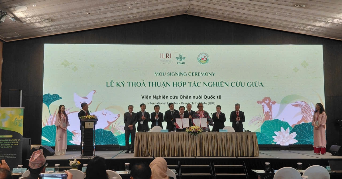 Chuyển đổi chăn nuôi bền vững: Động lực cho hệ thống lương thực tương lai