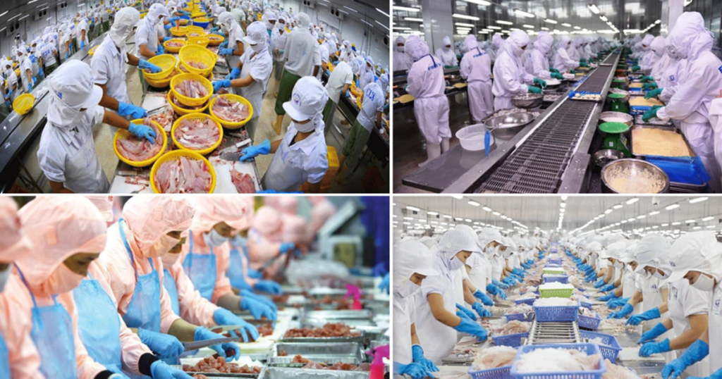 Thủy sản Việt Nam trước cơ hội tham gia sâu chuỗi cung ứng toàn cầu