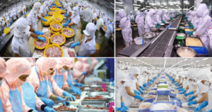 Thủy sản Việt Nam trước cơ hội tham gia sâu chuỗi cung ứng toàn cầu