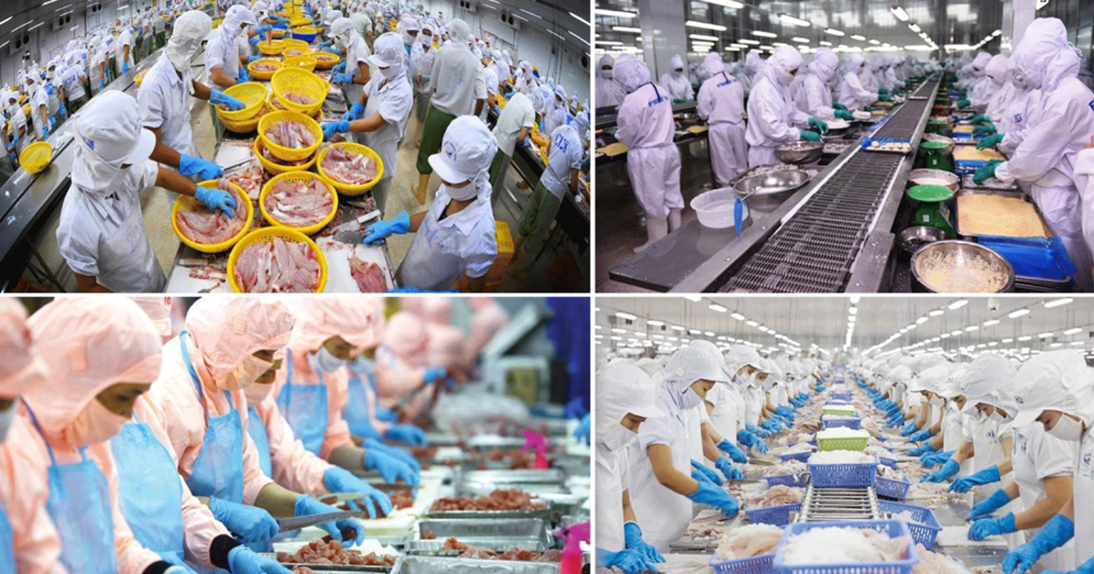 Thủy sản Việt Nam trước cơ hội tham gia sâu chuỗi cung ứng toàn cầu