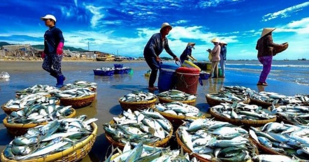 Xuất khẩu hải sản khởi sắc, áp lực vẫn đè nặng ngành cá ngừ