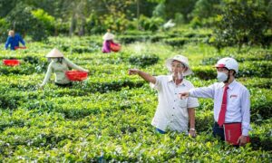 Chiến lược tài chính xanh của Agribank