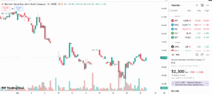 TCX chi 1.155,8 tỷ đồng trả cổ tức 2024
