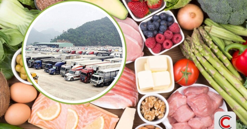 Xây dựng nghị quyết mới về tạm ngưng Nghị định 46 và Nghị quyết 66.13