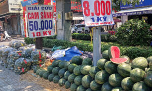 Nhiều nông sản rớt giá còn vài nghìn đồng một kg