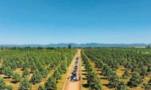 Công ty của bầu Đức đặt kế hoạch lãi kỷ lục 4.200 tỷ đồng