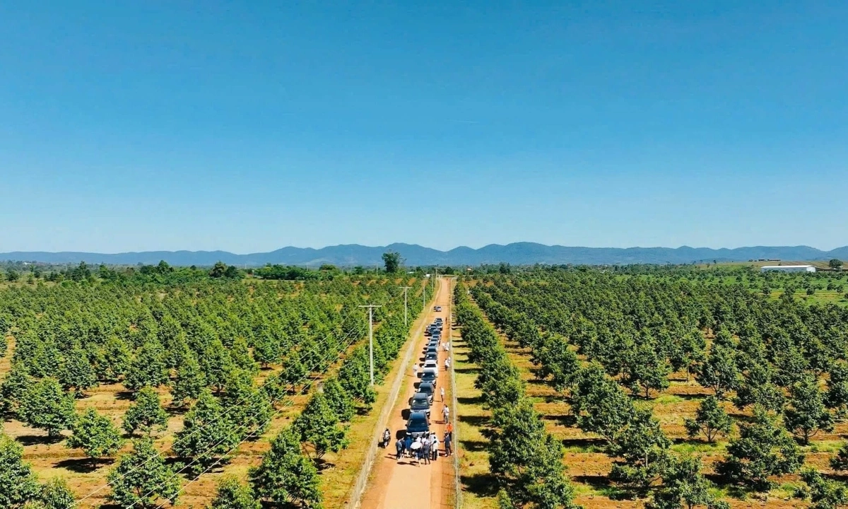 Công ty của bầu Đức đặt kế hoạch lãi kỷ lục 4.200 tỷ đồng