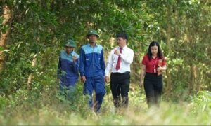 Cách Agribank mở rộng nguồn vốn cho các dự án xanh