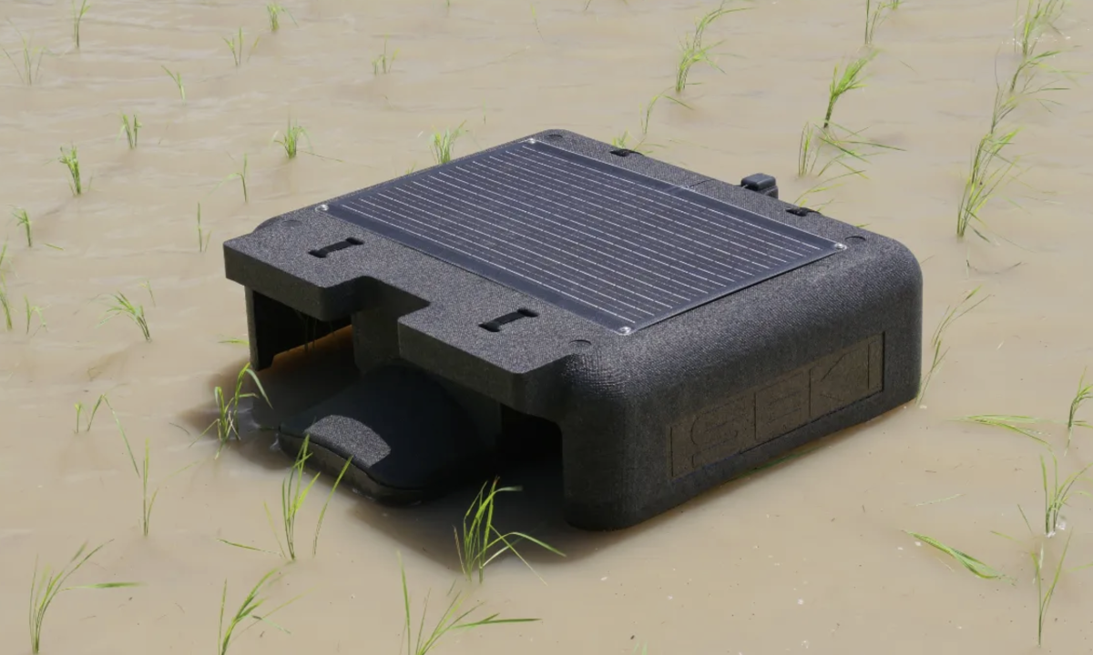 Nghiên cứu dùng robot vịt Nhật Bản trong trồng lúa phát thải thấp