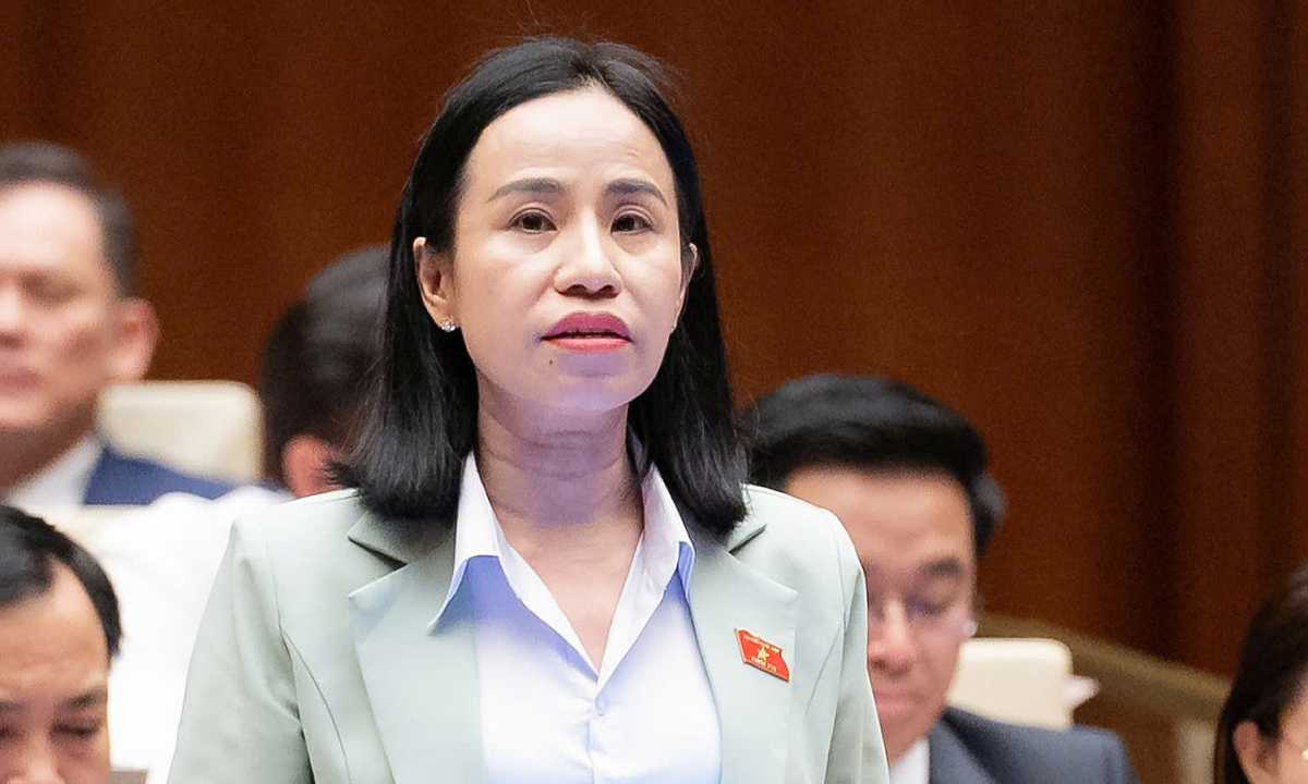 Đại biểu Quốc hội: Nên tăng thuế với xe điện từng bước để tránh 'cú sốc' thị trường