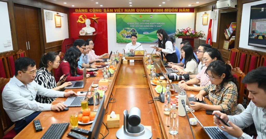 Lai Châu định hình nông nghiệp xanh, lấy sâm làm sản phẩm chủ lực