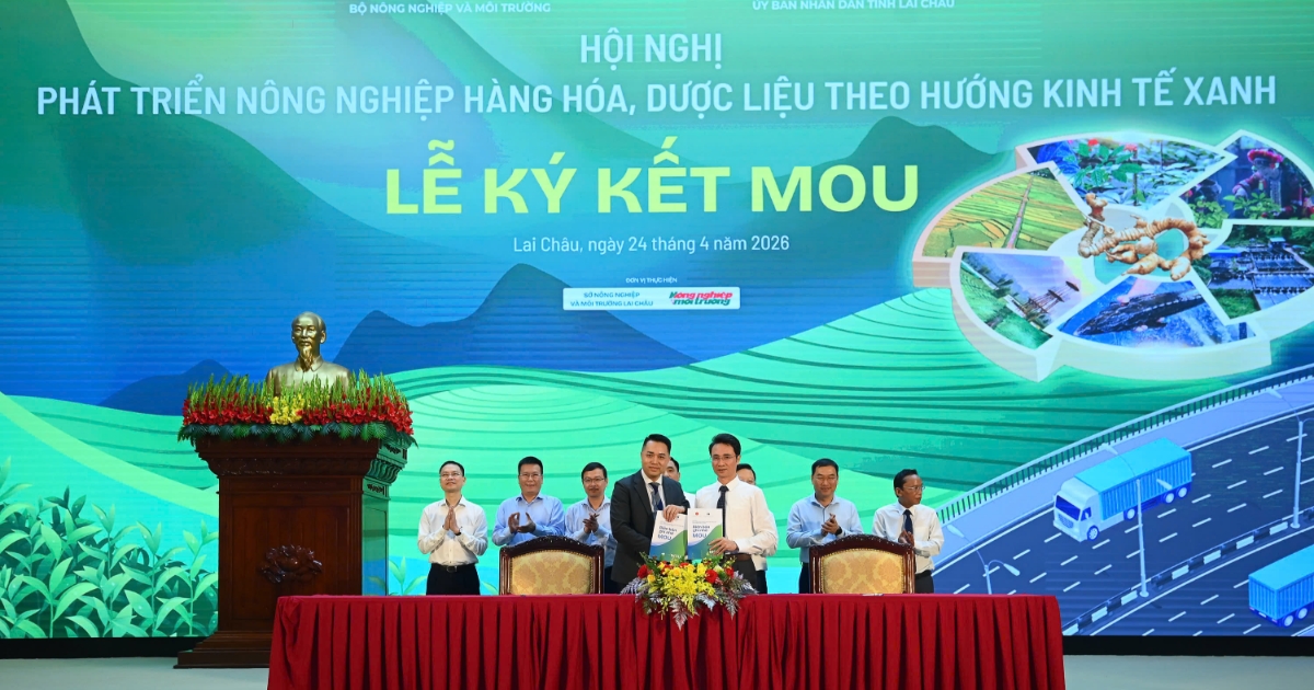 Hợp tác đầu tư tạo đột phá cho nông nghiệp xanh Lai Châu