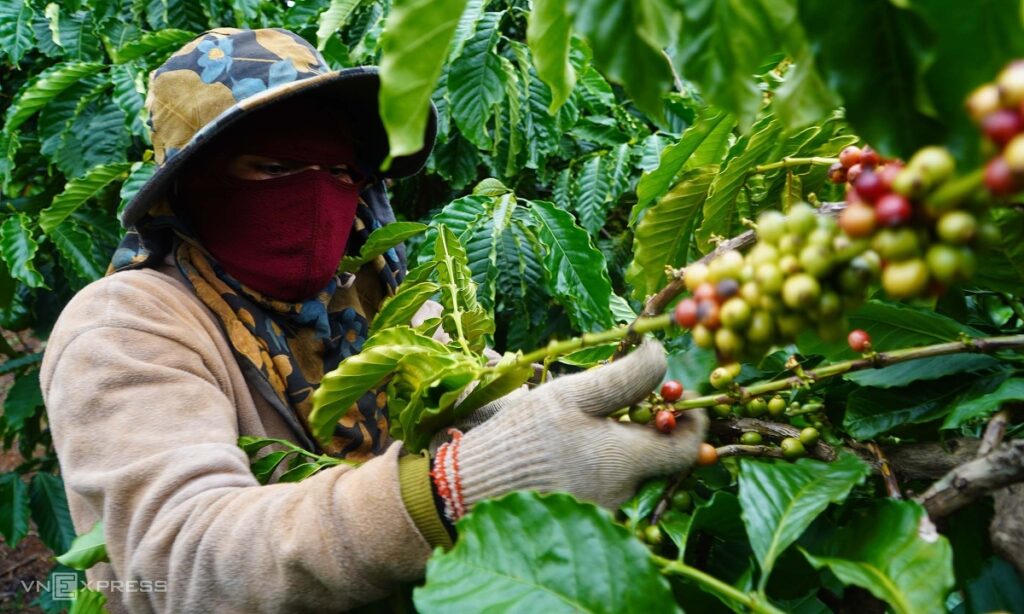 Đề xuất giãn nợ cho doanh nghiệp xuất khẩu nông sản