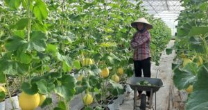 "Nhân lực xanh” và khoảng trống kỹ năng trong quá trình chuyển đổi