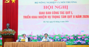 Quyết liệt chống khai thác hải sản bất hợp pháp