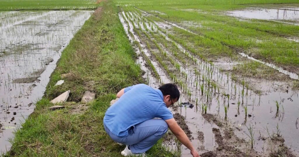 Chống xâm nhập mặn tại khu vực ven biển đồng bằng sông Hồng