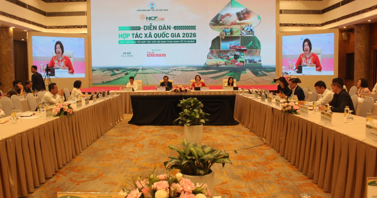 Liên kết hợp tác xã - doanh nghiệp: Chìa khóa xây dựng hệ sinh thái nông nghiệp bền vững