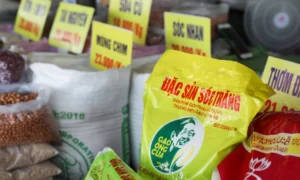 Xuất khẩu cà phê và gạo 'hụt hơi'
