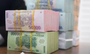 'Ngưỡng miễn thuế cho doanh nghiệp nhỏ nên cao hơn hộ kinh doanh'