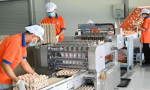 Doanh nghiệp chật vật trong vòng xoáy chi phí