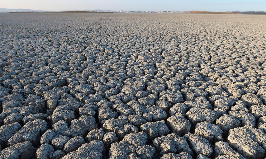 WMO: El Nino có thể quay lại vào tháng 5