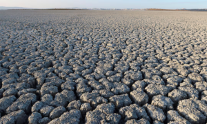 WMO: El Nino có thể quay lại vào tháng 5