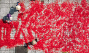 Giá ớt giảm hơn chục lần