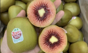 Rau quả nhập khẩu ồ ạt vào Việt Nam