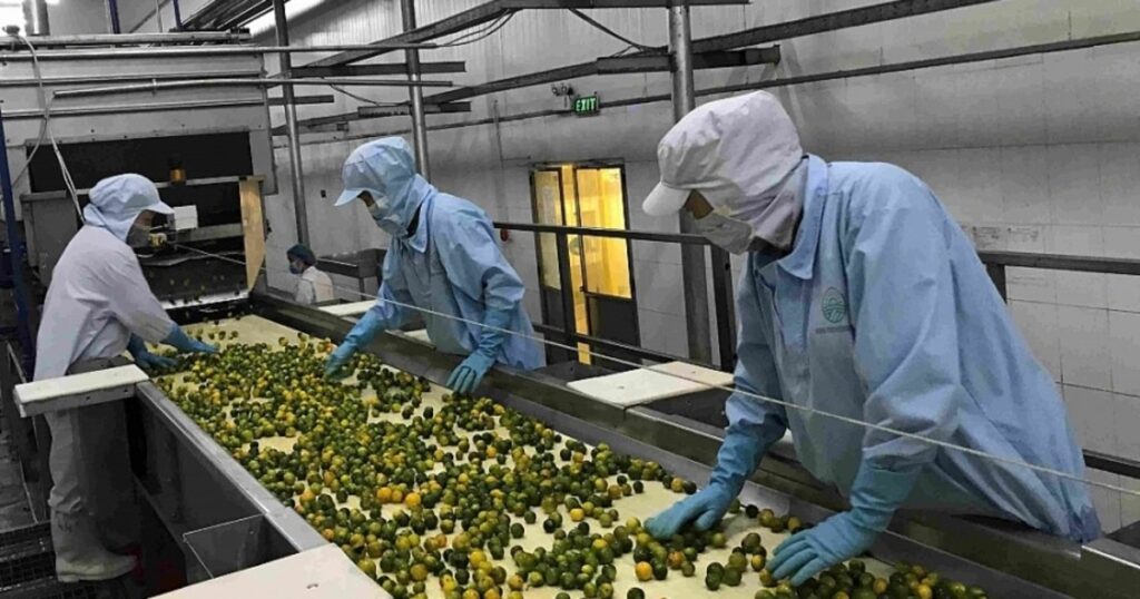 Xu hướng nguyên liệu cho thực phẩm bảo vệ sức khỏe