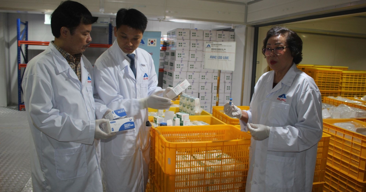 Việt Nam xuất khẩu 1,1 triệu liều vaccine viêm da nổi cục đầu tiên sang Hàn Quốc