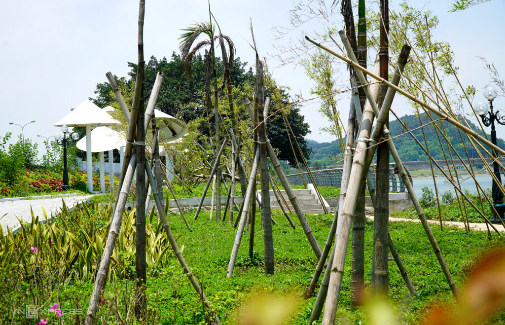 Cây xanh chết hàng loạt ở công viên tưởng niệm 64 giáo viên, học sinh