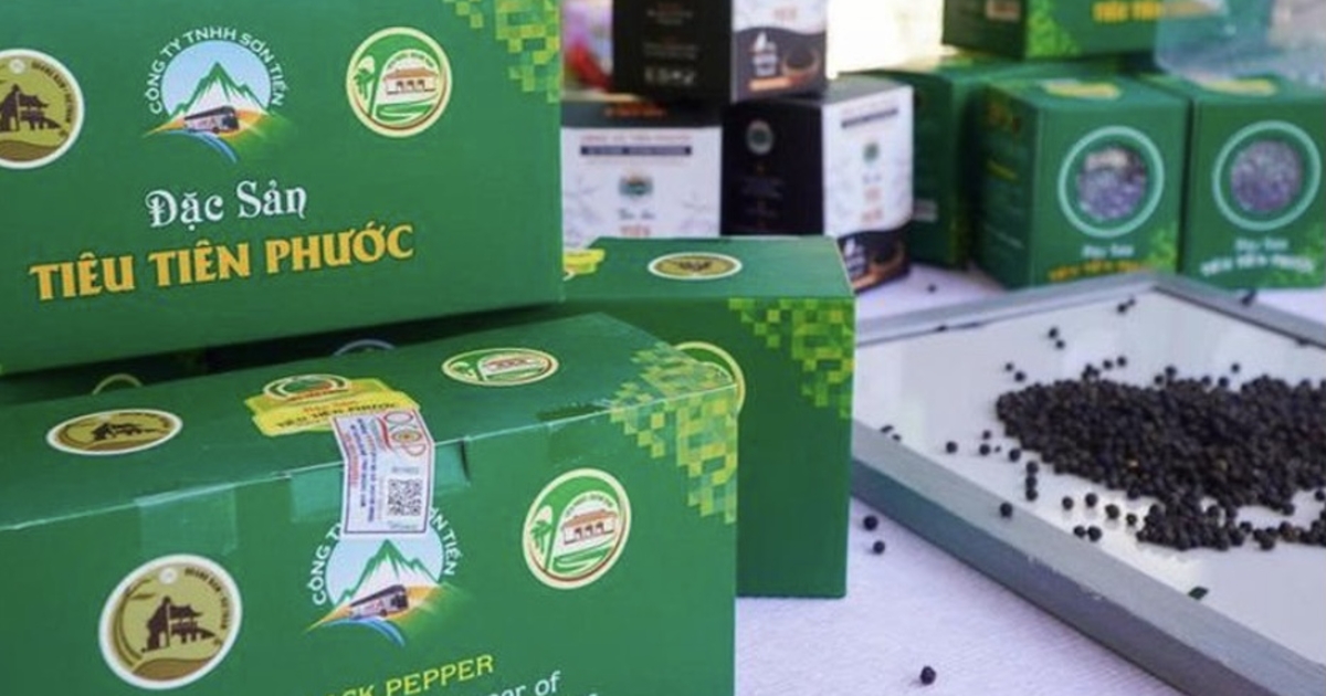 Đà Nẵng công bố Chỉ dẫn địa lý “Tiên Phước” cho sản phẩm hạt tiêu