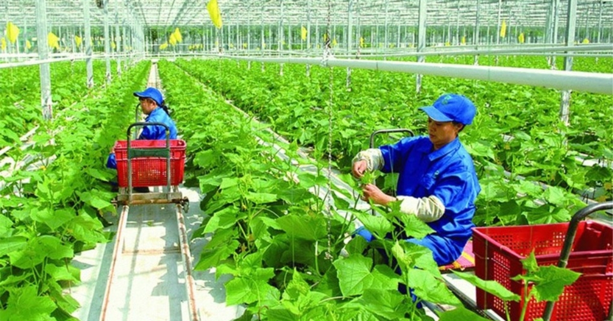 Hỗ trợ tới 60.000 EUR các sáng kiến chuyển đổi xanh do phụ nữ dẫn dắt