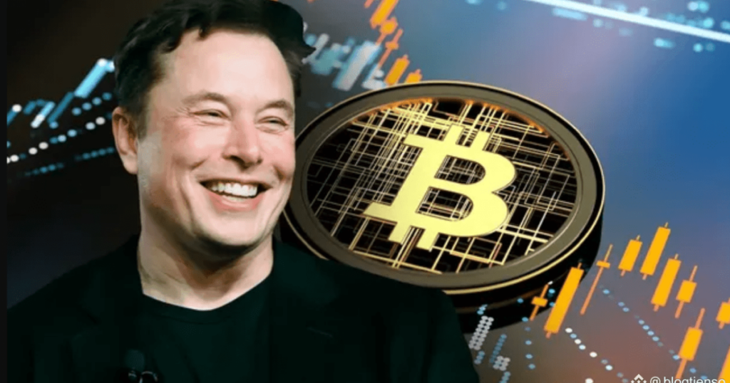 SpaceX lộ kho Bitcoin 1,45 tỷ USD trước thềm IPO