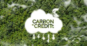 Đàm phán mua bán giảm phát thải, chuyển nhượng tín chỉ carbon rừng