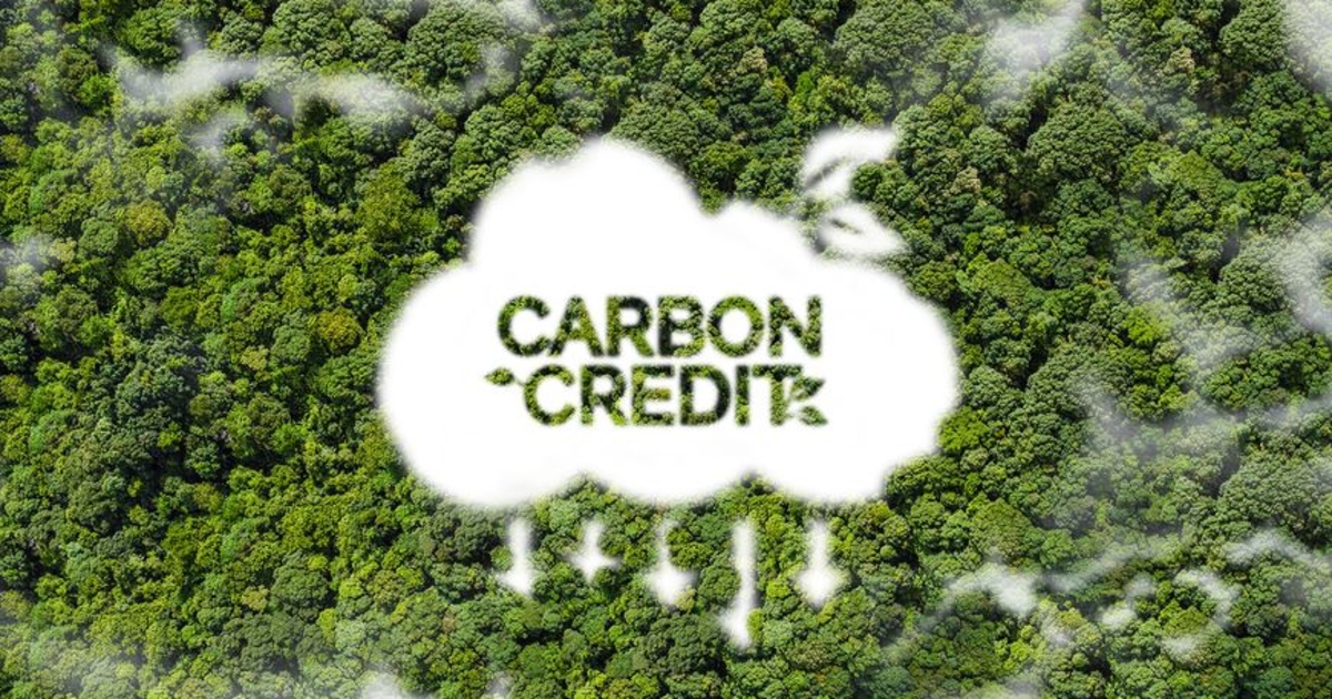 Đàm phán mua bán giảm phát thải, chuyển nhượng tín chỉ carbon rừng
