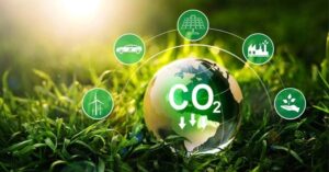 Tín chỉ carbon rừng chỉ được bán theo hợp đồng, qua sàn giao dịch