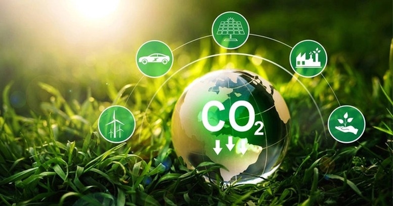 Tín chỉ carbon rừng chỉ được bán theo hợp đồng, qua sàn giao dịch