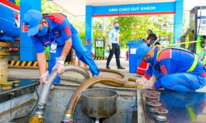Xăng sinh học E10 khác gì RON 95?