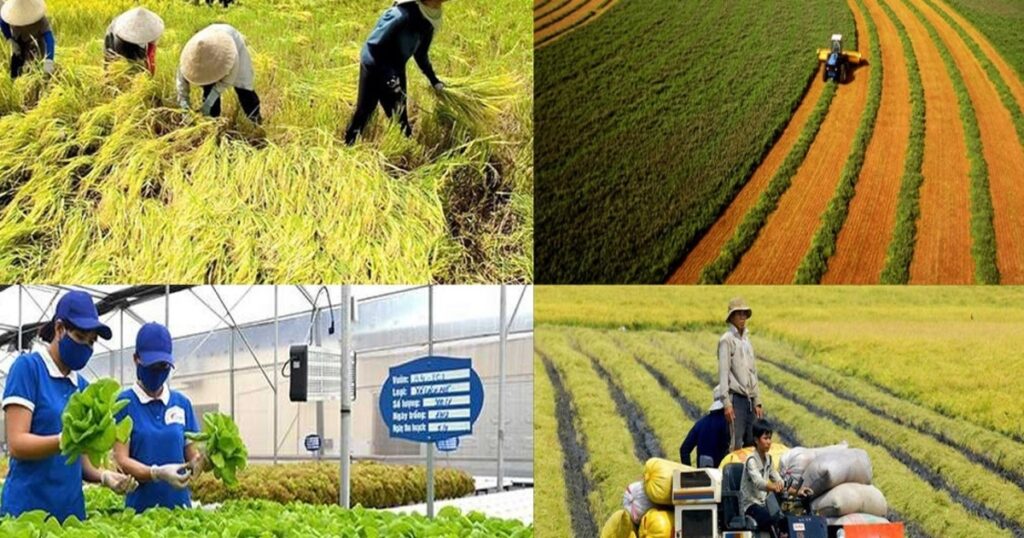 Tín dụng xanh mở đường cho chuyển đổi nông nghiệp bền vững