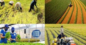 Tín dụng xanh mở đường cho chuyển đổi nông nghiệp bền vững
